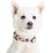 Show in main carousel: Blueberry Pet Essentials Spring Scent Inspired Garden Floral Adjustable Dog Collar, Baby Pink, Small: 12 to 16-in neck slide 3 of 6