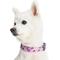 Show in main carousel: Blueberry Pet Essentials Spring Scent Inspired Garden Floral Adjustable Dog Collar, Light Purple, Small: 12 to 16-in neck slide 2 of 6