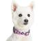 Show in main carousel: Blueberry Pet Essentials Spring Scent Inspired Garden Floral Adjustable Dog Collar, Light Purple, Small: 12 to 16-in neck slide 3 of 6