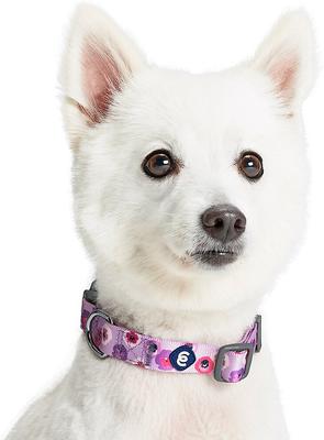 Show full view: Blueberry Pet Essentials Spring Scent Inspired Garden Floral Adjustable Dog Collar, Light Purple, Small: 12 to 16-in neck slide 3 of 6