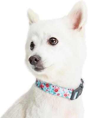 Show full view: Blueberry Pet Essentials Spring Scent Inspired Garden Floral Adjustable Dog Collar, Pastel Blue, Medium: 14.5 to 20-in neck slide 2 of 5