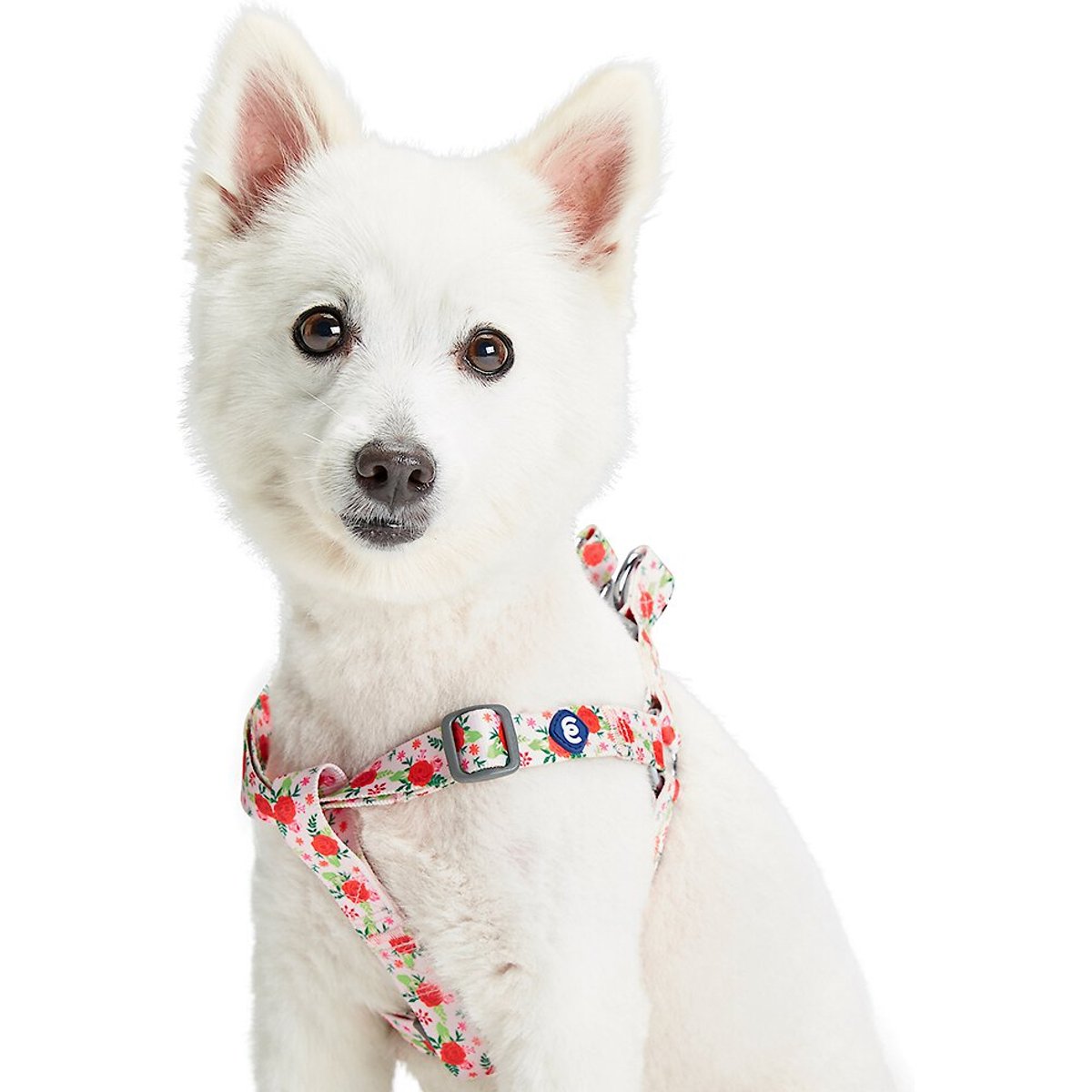 Blueberry Pet Essentials Spring Scent Inspired Garden Floral Step-in Dog Harness, Baby Pink, Medium: 20 to 26-in chest