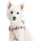 Show in main carousel: Blueberry Pet Essentials Spring Scent Inspired Garden Floral Step-in Dog Harness, Baby Pink, Medium: 20 to 26-in chest slide 1 of 7