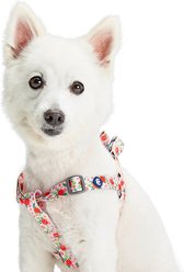 Blueberry Pet Essentials Spring Scent Inspired Garden Floral Step-in Dog Harness, Baby Pink, Small: 16.5 to 21.5-in chest