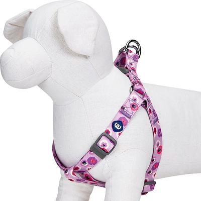 Show full view: Blueberry Pet Essentials Spring Scent Inspired Garden Floral Step-in Dog Harness, Light Purple, Medium: 20 to 26-in chest slide 2 of 6