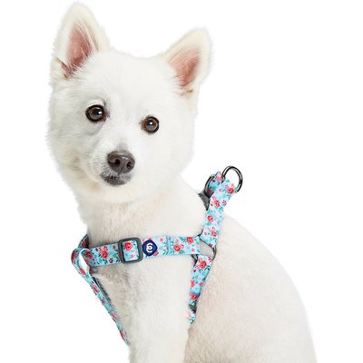 Blueberry Pet Blueberry Pet Essentials Spring Scent Inspired Garden Floral Step-in Dog Harness, Pastel Blue, Small: 16.5 to 21.5-in chest