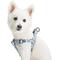 Show in main carousel: Blueberry Pet Essentials Spring Scent Inspired Garden Floral Step-in Dog Harness, Pastel Blue, Small: 16.5 to 21.5-in chest slide 1 of 7