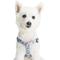 Show in main carousel: Blueberry Pet Essentials Spring Scent Inspired Garden Floral Step-in Dog Harness, Pastel Blue, Small: 16.5 to 21.5-in chest slide 2 of 7