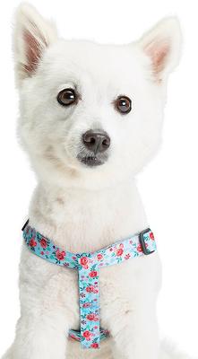 Show full view: Blueberry Pet Essentials Spring Scent Inspired Garden Floral Step-in Dog Harness, Pastel Blue, Small: 16.5 to 21.5-in chest slide 2 of 7
