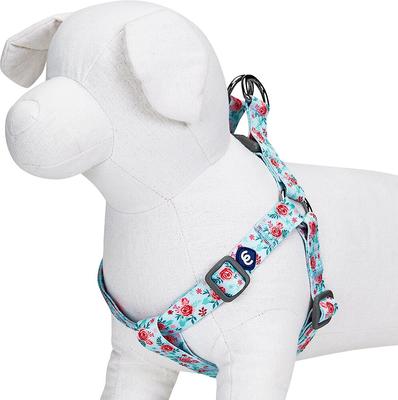 Show full view: Blueberry Pet Essentials Spring Scent Inspired Garden Floral Step-in Dog Harness, Pastel Blue, Small: 16.5 to 21.5-in chest slide 3 of 7