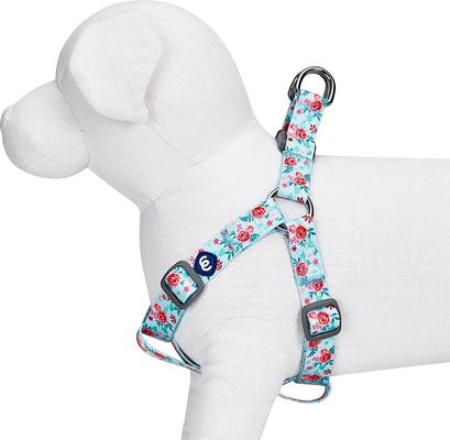 Show full view: Blueberry Pet Essentials Spring Scent Inspired Garden Floral Step-in Dog Harness, Pastel Blue, Small: 16.5 to 21.5-in chest slide 4 of 7
