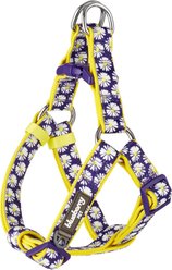 Blueberry Pet Floral Prints Neoprene Step In Back Clip Dog Harness, Daisy, Medium: 20 to 26-in chest slide 1 of 6
