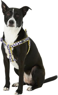 Show full view: Blueberry Pet Floral Prints Neoprene Step In Back Clip Dog Harness, Daisy, Medium: 20 to 26-in chest slide 3 of 9