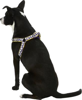Show full view: Blueberry Pet Floral Prints Neoprene Step In Back Clip Dog Harness, Daisy, Medium: 20 to 26-in chest slide 4 of 9