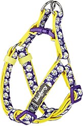 Blueberry Pet Floral Prints Neoprene Step In Back Clip Dog Harness, Daisy, Small: 16.5 to 21.5-in chest