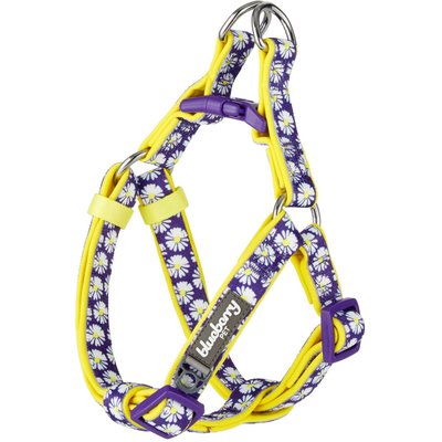 Blueberry Pet Blueberry Pet Floral Prints Neoprene Step In Back Clip Dog Harness, Daisy, Small: 16.5 to 21.5-in chest