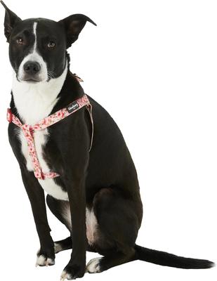 Show full view: Blueberry Pet Floral Prints Neoprene Step In Back Clip Dog Harness, Floral Rose Baby Pink, Medium: 20 to 26-in chest slide 3 of 9