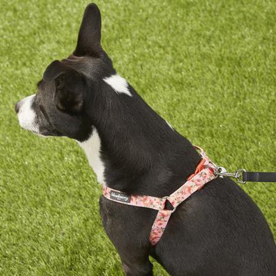 Show full view: Blueberry Pet Floral Prints Neoprene Step In Back Clip Dog Harness, Floral Rose Baby Pink, Medium: 20 to 26-in chest slide 6 of 9