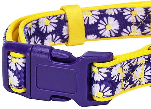 Show full view: Blueberry Pet Floral Prints Polyester Dog Collar, Daisy, Large: 18 to 26-in neck, 1-in wide slide 3 of 7