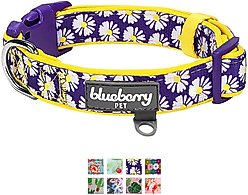 Blueberry Pet Floral Prints Polyester Dog Collar, Daisy, Medium: 14.5 to 20-in neck, 3/4-in wide