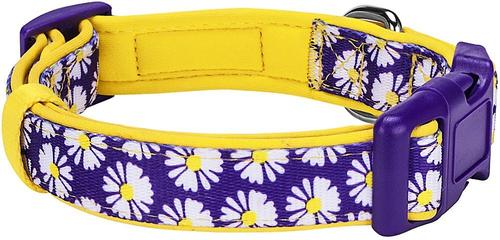 Show full view: Blueberry Pet Floral Prints Polyester Dog Collar, Daisy, Medium: 14.5 to 20-in neck, 3/4-in wide slide 2 of 7