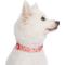 Show in main carousel: Blueberry Pet Floral Prints Polyester Dog Collar, Floral Rose Baby Pink, X-Small: 7.5 to 10-in neck, 3/8-in wide slide 5 of 10