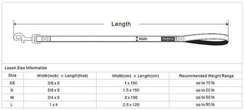 Show full view: Blueberry Pet Floral Prints Polyester Dog Leash, Daisy, Medium: 5-ft long, 3/4-in wide slide 5 of 7