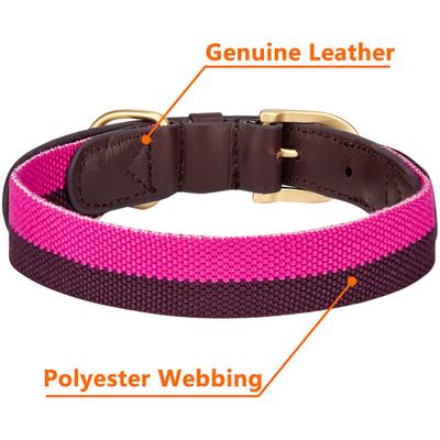 Show full view: Blueberry Pet Genuine Leather & Polyester Combo Adjustable Dog Collar, Hot Pink/Purple, Medium: 15 to 18-in neck, 1-in wide slide 5 of 9
