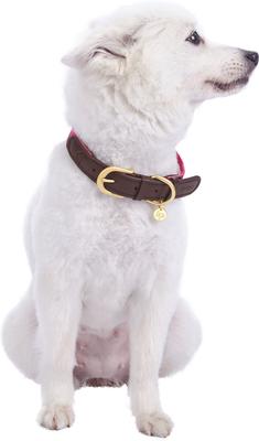 Show full view: Blueberry Pet Genuine Leather & Polyester Combo Adjustable Dog Collar, Hot Pink/Purple, Medium: 15 to 18-in neck, 1-in wide slide 3 of 9