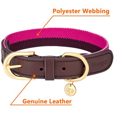 Show full view: Blueberry Pet Genuine Leather & Polyester Combo Adjustable Dog Collar, Hot Pink/Purple, Medium: 15 to 18-in neck, 1-in wide slide 4 of 9