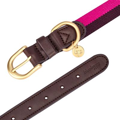 Show full view: Blueberry Pet Genuine Leather & Polyester Combo Adjustable Dog Collar, Hot Pink/Purple, Small: 12 to 15-in neck, 3/4-in wide slide 6 of 9