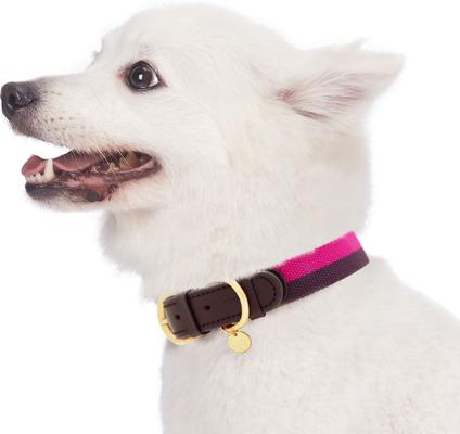 Show full view: Blueberry Pet Genuine Leather & Polyester Combo Adjustable Dog Collar, Hot Pink/Purple, Small: 12 to 15-in neck, 3/4-in wide slide 2 of 9