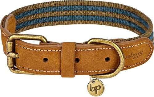 Out of Stock - BLUEBERRY PET Genuine Leather & Polyester Combo ...