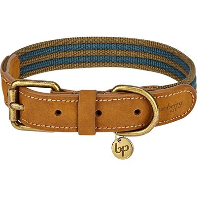 Blueberry Pet Blueberry Pet Genuine Leather & Polyester Combo Adjustable Dog Collar, Navy/Olive, Small: 12 to 15-in neck, 3/4-in wide