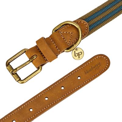 Show full view: Blueberry Pet Genuine Leather & Polyester Combo Adjustable Dog Collar, Navy/Olive, Small: 12 to 15-in neck, 3/4-in wide slide 7 of 10