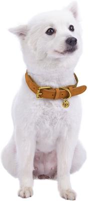 Show full view: Blueberry Pet Genuine Leather & Polyester Combo Adjustable Dog Collar, Navy/Olive, Small: 12 to 15-in neck, 3/4-in wide slide 4 of 10