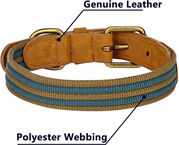 Blueberry Pet Genuine Leather & Polyester Combo Adjustable Dog Collar