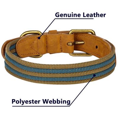 Show full view: Blueberry Pet Genuine Leather & Polyester Combo Adjustable Dog Collar, Navy/Olive, Small: 12 to 15-in neck, 3/4-in wide slide 6 of 10