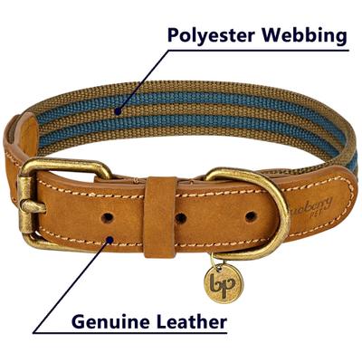 Show full view: Blueberry Pet Genuine Leather & Polyester Combo Adjustable Dog Collar, Navy/Olive, Small: 12 to 15-in neck, 3/4-in wide slide 5 of 10