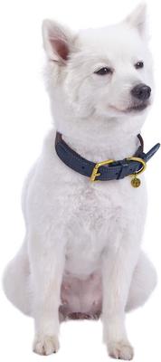 Show full view: Blueberry Pet Genuine Leather & Polyester Combo Adjustable Dog Collar, Noir Grey/Burgundy, Small: 12 to 15-in neck, 3/4-in wide slide 4 of 10