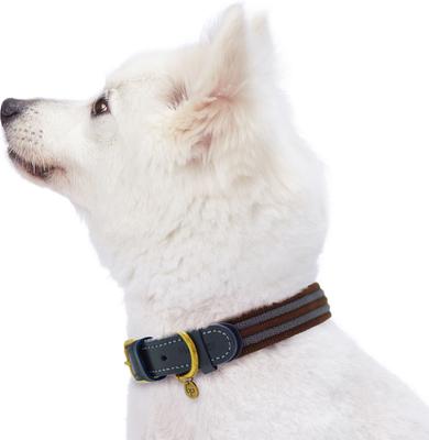Show full view: Blueberry Pet Genuine Leather & Polyester Combo Adjustable Dog Collar, Noir Grey/Burgundy, Small: 12 to 15-in neck, 3/4-in wide slide 3 of 10