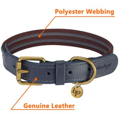 Show full view: Blueberry Pet Genuine Leather & Polyester Combo Adjustable Dog Collar, Noir Grey/Burgundy, Small: 12 to 15-in neck, 3/4-in wide slide 5 of 10
