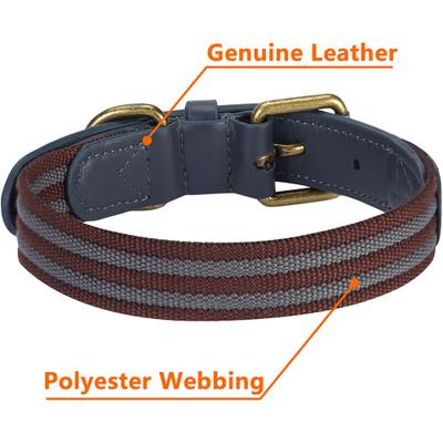 Show full view: Blueberry Pet Genuine Leather & Polyester Combo Adjustable Dog Collar, Noir Grey/Burgundy, Small: 12 to 15-in neck, 3/4-in wide slide 6 of 10