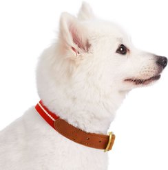 Blueberry Pet Genuine Leather & Polyester Combo Adjustable Dog Collar, Red/White, Large: 18 to 22-in neck, 1-in wide slide 2 of 7