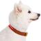 Show in main carousel: Blueberry Pet Genuine Leather & Polyester Combo Adjustable Dog Collar, Red/White, Large: 18 to 22-in neck, 1-in wide slide 2 of 8