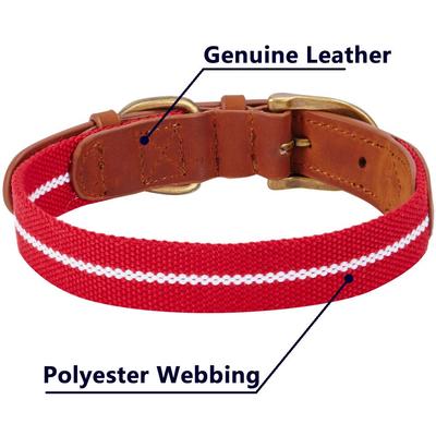 Show full view: Blueberry Pet Genuine Leather & Polyester Combo Adjustable Dog Collar, Red/White, Large: 18 to 22-in neck, 1-in wide slide 5 of 8
