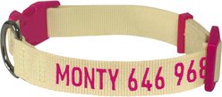 Blueberry Pet Heart & Stripe Handmade Detachable Bow Tie Personalized Dog Collar, Medium: 14.5 to 20-in neck 3/4-in wide