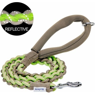 Blueberry Pet Blueberry Pet Heavy Duty Braided Handmade Rope Polyester Reflective Dog Leash, 4-ft long, 3/4-in wide, Deep Beige/ Neon Green