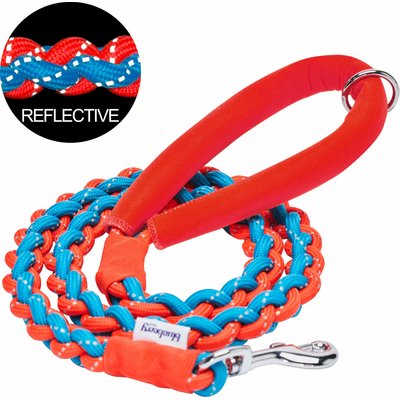 Blueberry Pet Blueberry Pet Heavy Duty Braided Handmade Rope Polyester Reflective Dog Leash, 4-ft long, 3/4-in wide, Flame Red/ Azure Blue