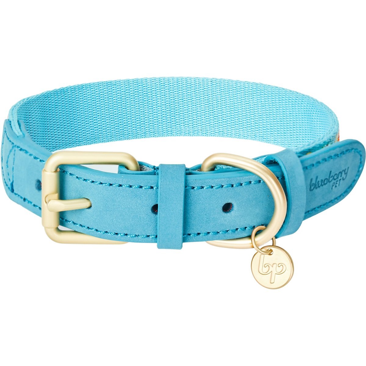 Blueberry Pet Leather Tribal Dog Collar, Celeste Blue, Small